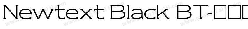 Newtext Black BT字体转换